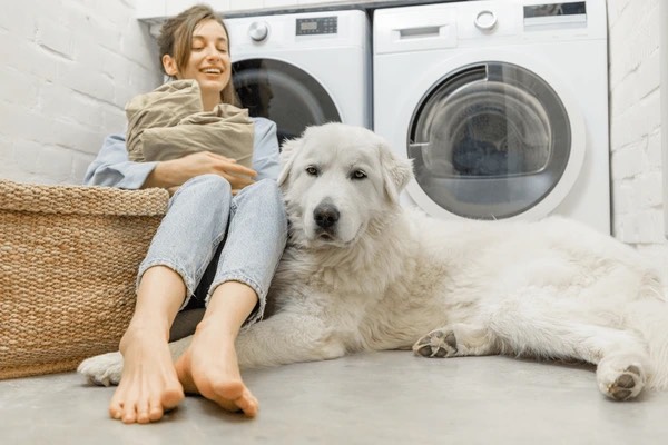 Laundry tips for pet owners, including how to remove fur from your washer and dryer! 